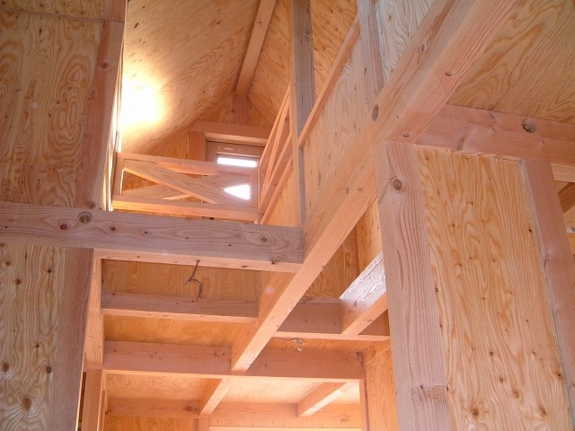 自然素材の家とは?メリット・素材・性能をわかりやすく解説